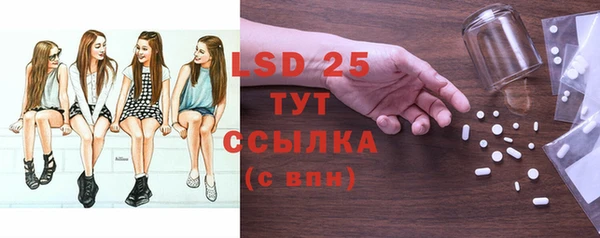 гидра Богородицк