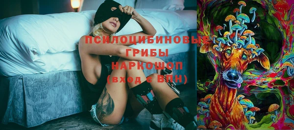 гидра Богородицк