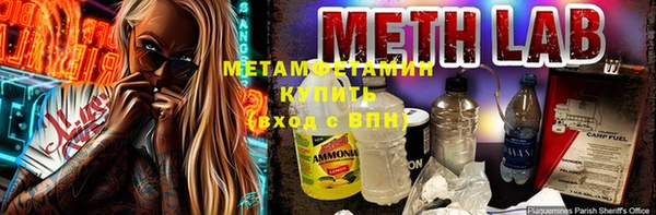 гидра Богородицк
