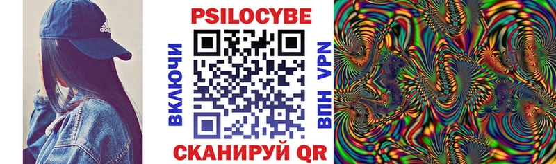 Галлюциногенные грибы Psilocybine cubensis  Купить  Устюжна 